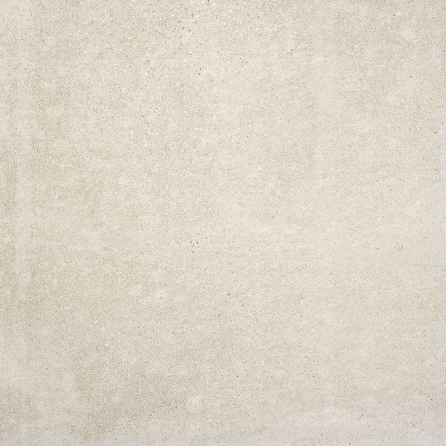 Claire Arena RT 75x75
