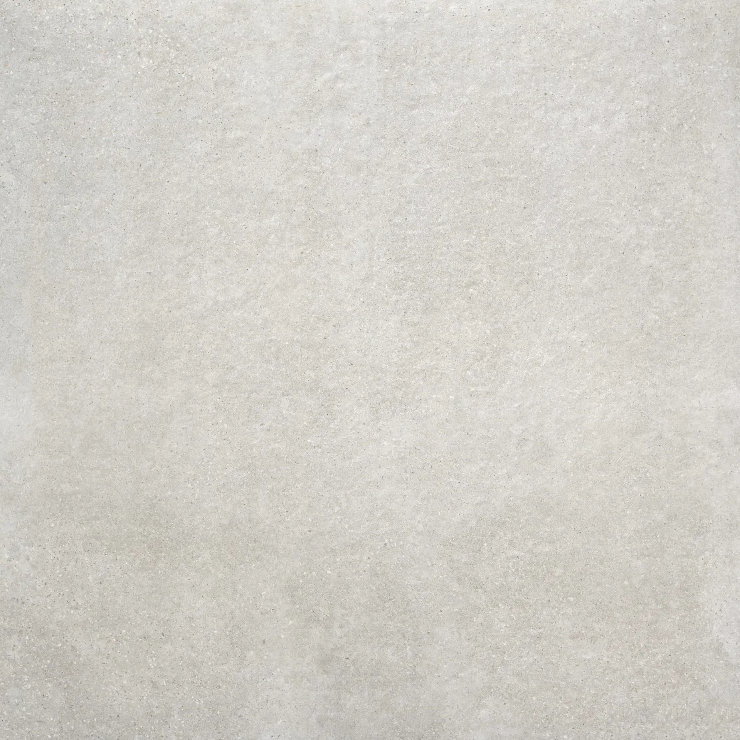 Claire Gris RT 100x100