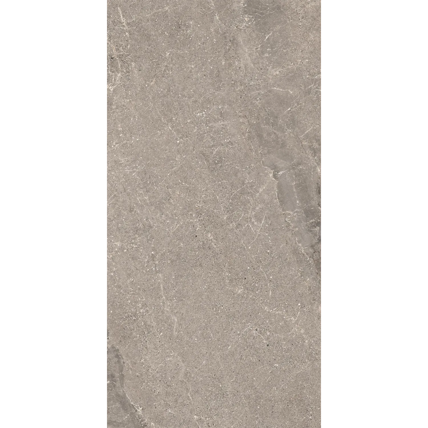 Wonder Dunes RT 60x120 R11