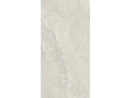 Wonder Sleet RT 60x120