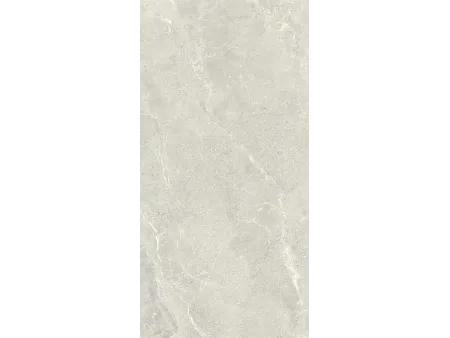 Wonder Sleet RT 60x120 R11